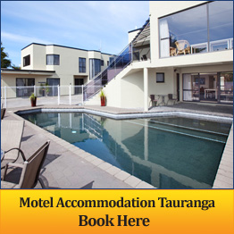 Motel Accommodation in Tauranga