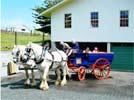 The Carriage House- Bay of Islands