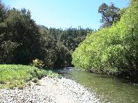 Foley's Creek
